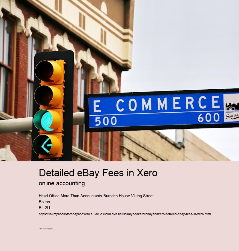 Detailed eBay Fees in Xero