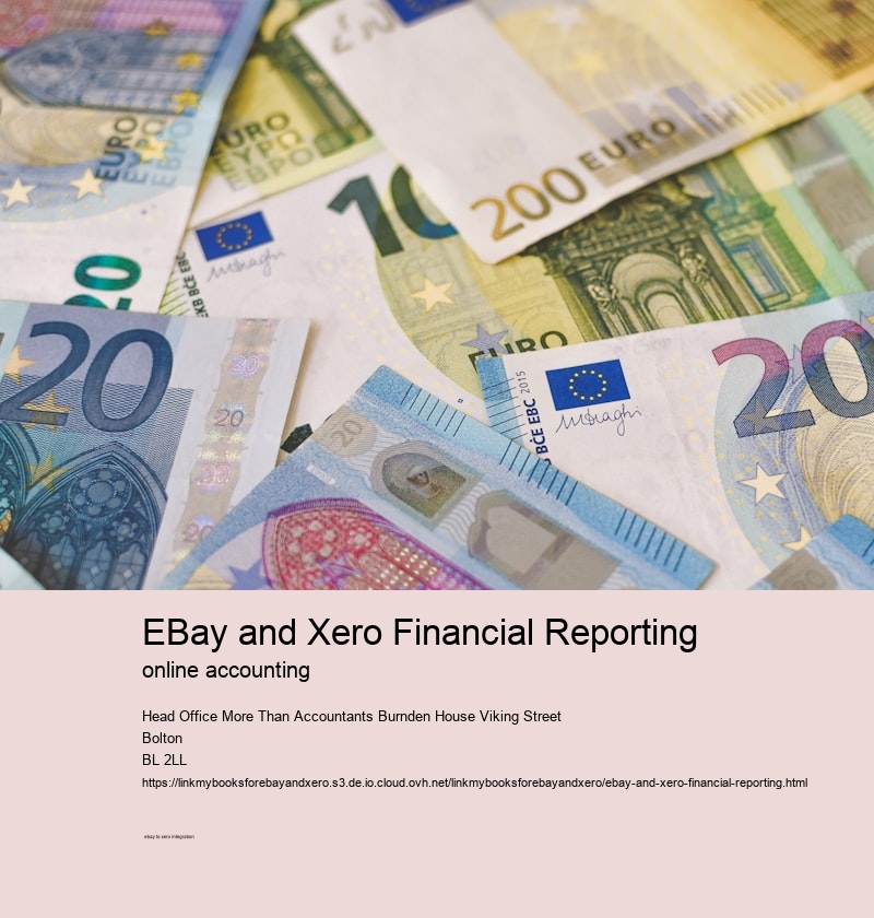 eBay and Xero Financial Reporting