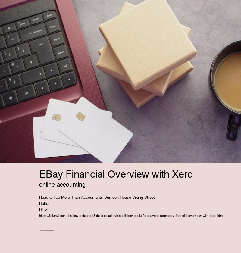 eBay Financial Overview with Xero